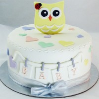 Baby Shower Cake - Owl Cake